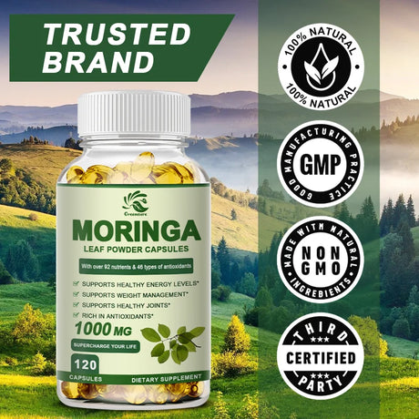Moringa Extract Capsule Anti Stress Improve Sleep Enhance immunity Antioxidant - 60/120 Capsules