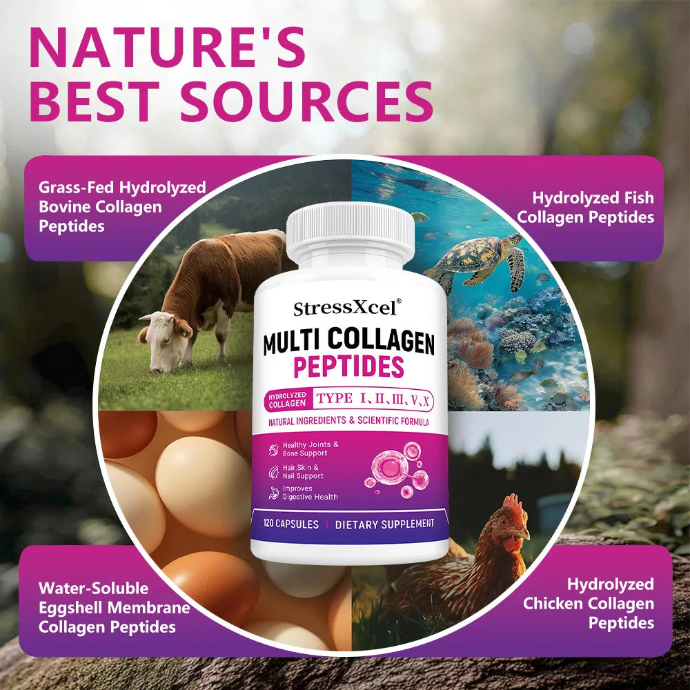 Multi Collagen Peptides Capsules, Type I II III V X, Biotin, Anti-Aging Skin, Hair, Nails, Joints, Gut & Immunity Support