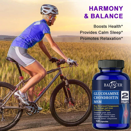Glucosamine & Chondroitin & MSM 3-in-1 - Antioxidant, Joint Health Support, for Bone and Cartilage Health
