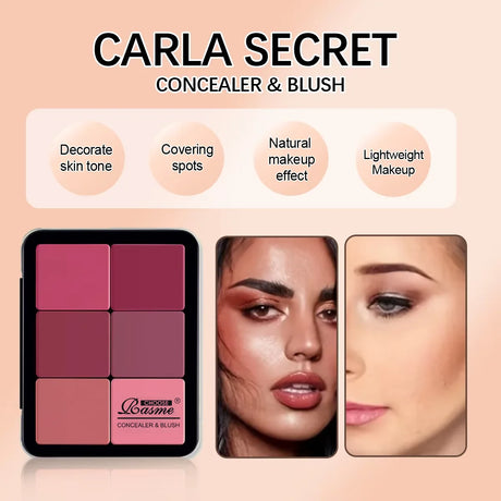 12-color iron box concealer blush cream matte highlight contour makeup all-in-one palette