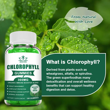 Chlorophyll Gummies-with ACV, Vitamin D3, C, E, B12 -Natural Deodorant, Energy Boost, Immune&Digestion Support, Vegan 60 Candies