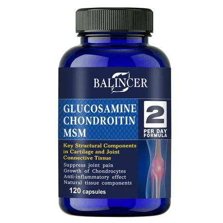 Glucosamine & Chondroitin & MSM 3-in-1 - Antioxidant, Joint Health Support, for Bone and Cartilage Health