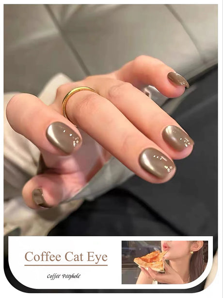 WS Black Glass Cat Magnetic Gel Nail Polish Punk Style Nail Art Manicure Varnis Semi Permanent Gel for Winter Nail Supplies