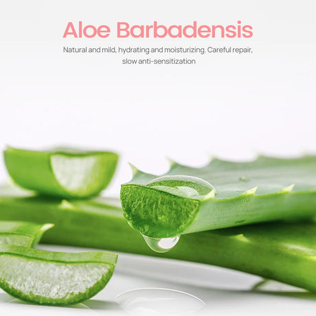 LANBENA Blackhead Remover Peel Off Mask Aloe Vera Extract Paper Plant Pore Strips Deep Clean Hydrating Pore Shrinking Mud Mask