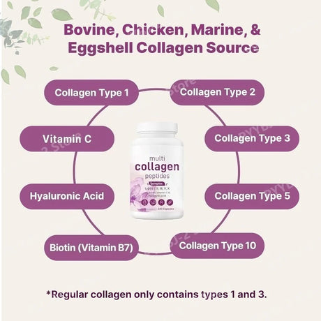 Multi Collagen Pills 240 Capsules | Type I II III V X | Hydrolyzed Protein Peptides with Biotin Hyaluronic Acid & Vitamin C