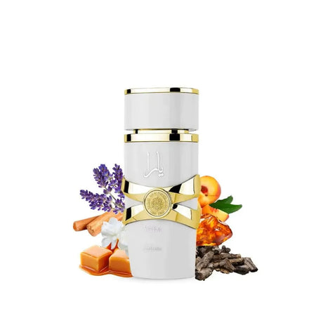 Unisex Woody Amber Eau De Parfum 100ml Long Lasting 8H Bourbon Vanilla Perfume for Daily Work Dating Business Social Occasions
