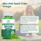 Chlorophyll Gummies-with ACV, Vitamin D3, C, E, B12 -Natural Deodorant, Energy Boost, Immune&Digestion Support, Vegan 60 Candies