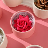 3D Rose Petal Blush Highlights Natural Makeup Brightening Cheek Long Lasting Waterproof Matte Highlighter Shimmer Blusher Makeup