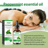 Cooling Mint Body Oil for Aromatherapy 60ml - Handcrafted, Refreshing Scent, Lightweight Moisture for Massage & Skin Care.