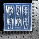 3D Silicone Nail Art Mold Ribs Spine Bone Design DIY Nail Decor Transparent Manicure Template