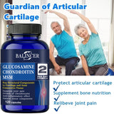 Glucosamine & Chondroitin & MSM 3-in-1 - Antioxidant, Joint Health Support, for Bone and Cartilage Health