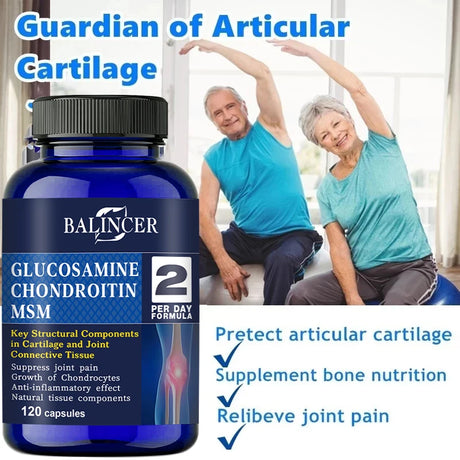 Glucosamine & Chondroitin & MSM 3-in-1 - Antioxidant, Joint Health Support, for Bone and Cartilage Health