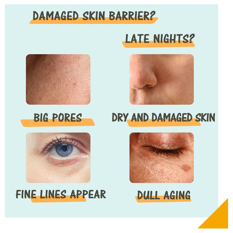 Day Night Vitamin C Retinol Serum Set, Anti-Aging Firming & Brightening Duo, Hydrating Skin Care Combo