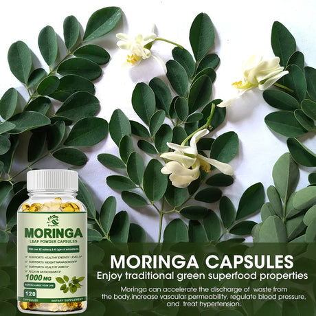 Moringa Extract Capsule Anti Stress Improve Sleep Enhance immunity Antioxidant - 60/120 Capsules