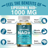 Liposomal NAD+ 1000mg Capsules, Supports Cellular Energy, Anti-Aging, DNA Repair,  Brain, Heart Health & Natural Vitality