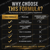 Shilajit Gummies Support Energy and Vitality Berry Flavor with Pomegranate & Honey ExtractDaily Wellness Support 30 Gummies