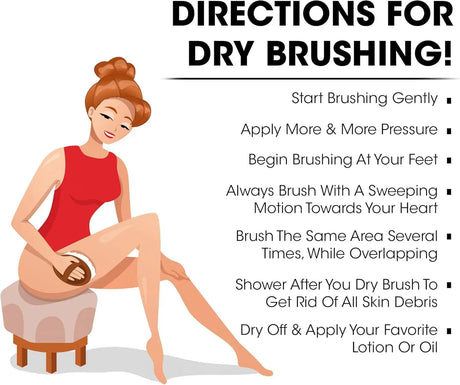 Body Dry Brush, Hard Shower Brush, Exfoliator, Male and Female Bath Tool, Used for Wet or Dry Brushing, Long Handle