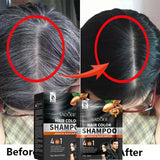 Gray White Hair Treatment Shampoo White To Black Anti Gray Hair Beard Dye Anti Loss Repair Nourish Hair Care Products Men Women