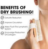 Body Dry Brush, Hard Shower Brush, Exfoliator, Male and Female Bath Tool, Used for Wet or Dry Brushing, Long Handle