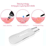 Professional No Ultrasonic Facial Skin Scrubber Ion Deep Face Cleaning Peeling Rechargeable Skin Care Device Beauty Instrument