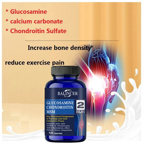Glucosamine & Chondroitin & MSM 3-in-1 - Antioxidant, Joint Health Support, for Bone and Cartilage Health