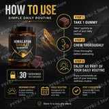 Shilajit Gummies Support Energy and Vitality Berry Flavor with Pomegranate & Honey ExtractDaily Wellness Support 30 Gummies