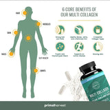 Multi Collagen Pills for Women and Men - Type I, II, III, V, X - 120 Capsules W/Vitamin C for Hair, Skin, Nails
