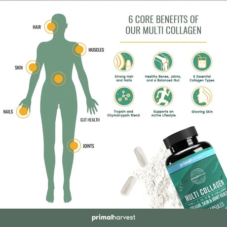 Multi Collagen Pills for Women and Men - Type I, II, III, V, X - 120 Capsules W/Vitamin C for Hair, Skin, Nails