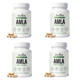 Docteat Amla Fruit Extract Capsules Daily Energy Stress Balance Skin Vitality Support for Men and Women 60 Capsules