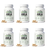 Docteat Amla Fruit Extract Capsules Daily Energy Stress Balance Skin Vitality Support for Men and Women 60 Capsules