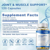 Joint and Muscle Support - Relieves Muscle Pain, Improves Mobility, Support Joints, Bone and Muscle Health, Replenish Joints