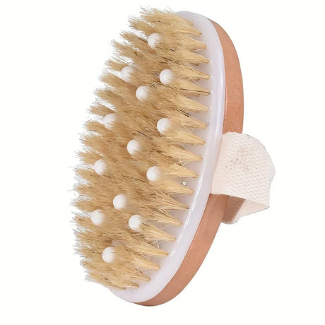 Body Dry Brush, Hard Shower Brush, Exfoliator, Male and Female Bath Tool, Used for Wet or Dry Brushing, Long Handle