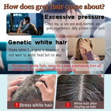 Gray To Black Hair Oil Reduces Premature Graying  Nourishes Follicles Restores Natural Black Pigment Darkening Gray/white Hair
