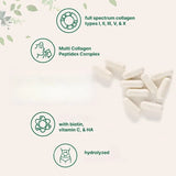 Multi Collagen Pills 240 Capsules | Type I II III V X | Hydrolyzed Protein Peptides with Biotin Hyaluronic Acid & Vitamin C