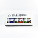 2026 Christmas Pure Lemon Sweet Orange Eucalyptus Lavender Peppermint Rosemary 6Pcs/Set Massage Aromatic Essential Oil Set Gift