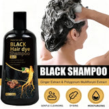 Black Hair Dye Shampoo 3in1 with Ginger & Biotin - Long Lasting Color & Gray Coverage for Vibrant Hair