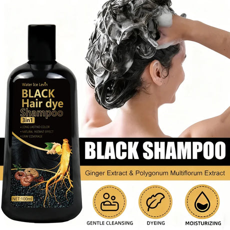 Black Hair Dye Shampoo 3in1 with Ginger & Biotin - Long Lasting Color & Gray Coverage for Vibrant Hair