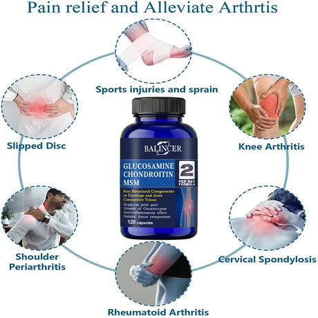 Glucosamine & Chondroitin & MSM 3-in-1 - Antioxidant, Joint Health Support, for Bone and Cartilage Health