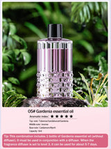 Multi-functional rechargeable portable aroma diffuser essential oil diffuser timer air freshener car home living room bathroom