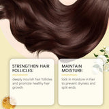 Repairing Camellia Hair Oil Spray For Dry Damaged Frizz Control Nourishing Conditioner With Camellia Seed Oil Hair Treatment