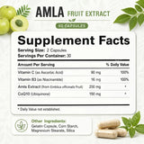 Docteat Amla Fruit Extract Capsules Daily Energy Stress Balance Skin Vitality Support for Men and Women 60 Capsules