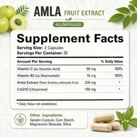 Docteat Amla Fruit Extract Capsules Daily Energy Stress Balance Skin Vitality Support for Men and Women 60 Capsules