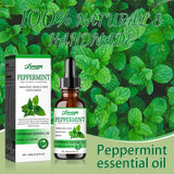 Cooling Mint Body Oil for Aromatherapy 60ml - Handcrafted, Refreshing Scent, Lightweight Moisture for Massage & Skin Care.