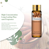 PHATOIL 10ml Cinnamon Essential Oils Pure Natural for Diffuser Massage Spa Aromatherapy DIY Candles Soap Making